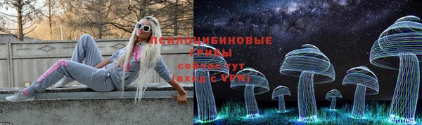 МДПВ Вязьма