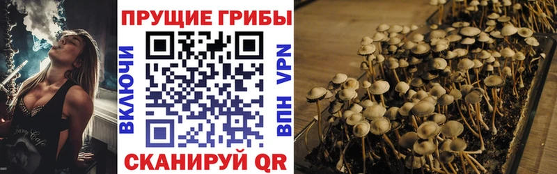 MEGA как зайти  Новохопёрск  Галлюциногенные грибы мухоморы  магазин   